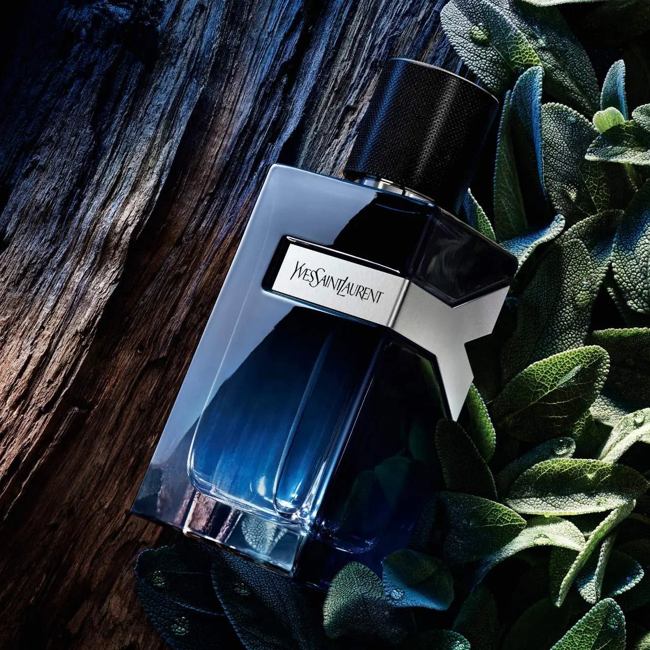 Y Eau de Parfum (Decant 10ml)
