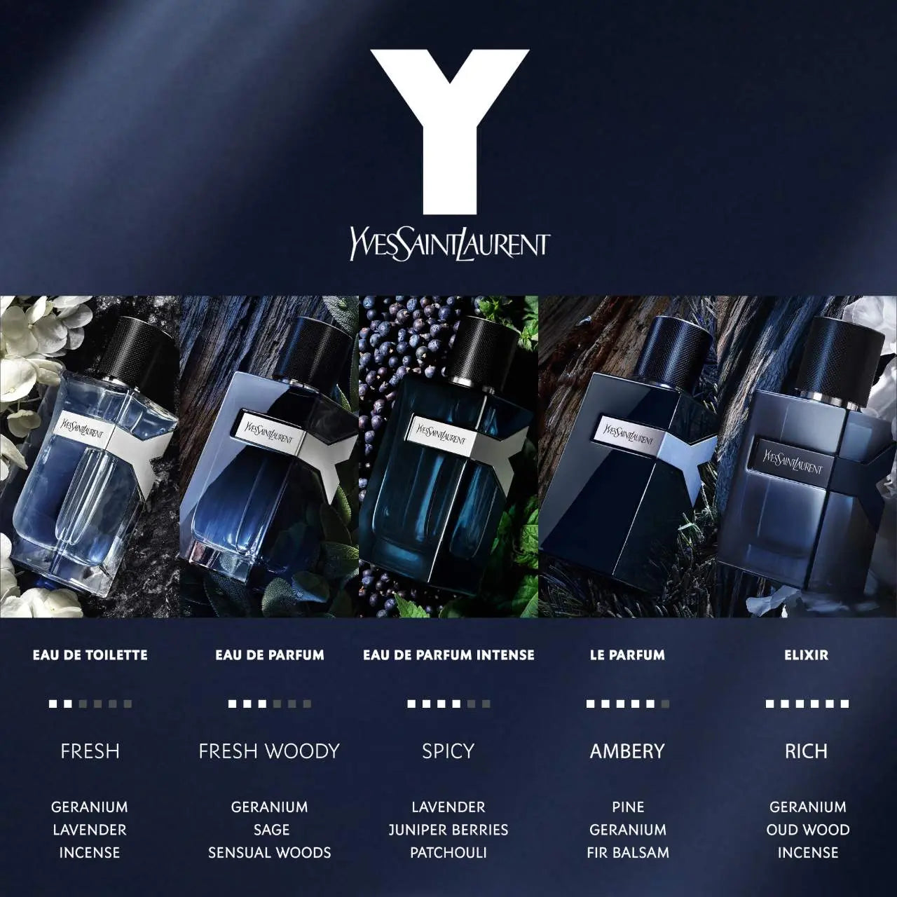 Y Eau de Parfum (Decant 10ml)